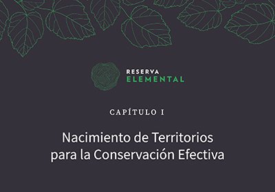 Nacimiento de territorios para la conservación efectiva