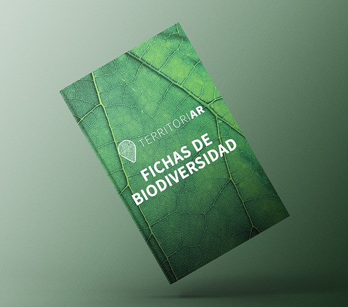 Ficha de biodiversidad