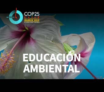 COP25: Educación Ambiental