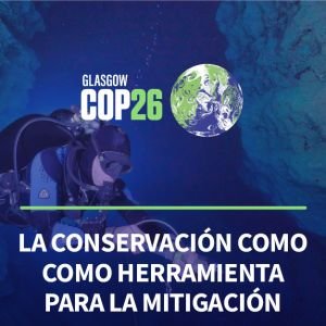 COP26 La conservación como herramienta para la mitigación del cambio climático