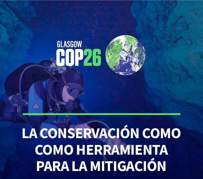 COP26 La conservación como herramienta para la mitigación del cambio climático