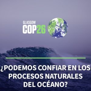 COP26 ¿Podemos confiar en los procesos naturales del océano para la mitigación del clima?
