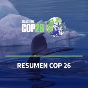 Resumen COP26