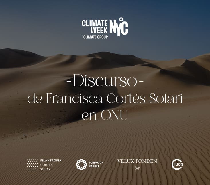 Francisca Cortés Solari – ONU – SDGs Summit