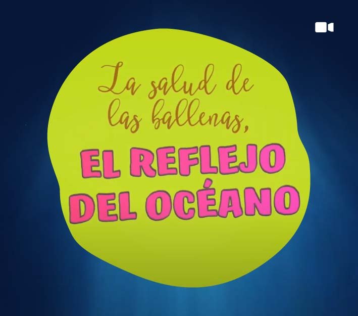 La salud de las ballenas, el reflejo del océano