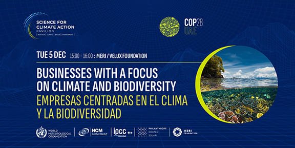 COP28 – Negocios con enfoque en clima y biodiversidad