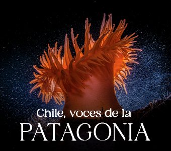 Chile, Voces de la PATAGONIA