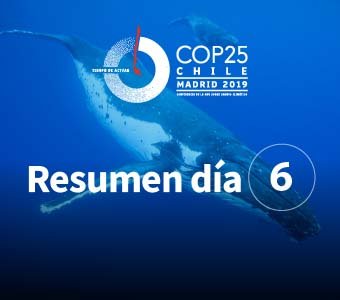 COP25: Día 6 thelma krugg – calfín – tiare paoca – antonio Fernández – michael weisenberg – ko barret
