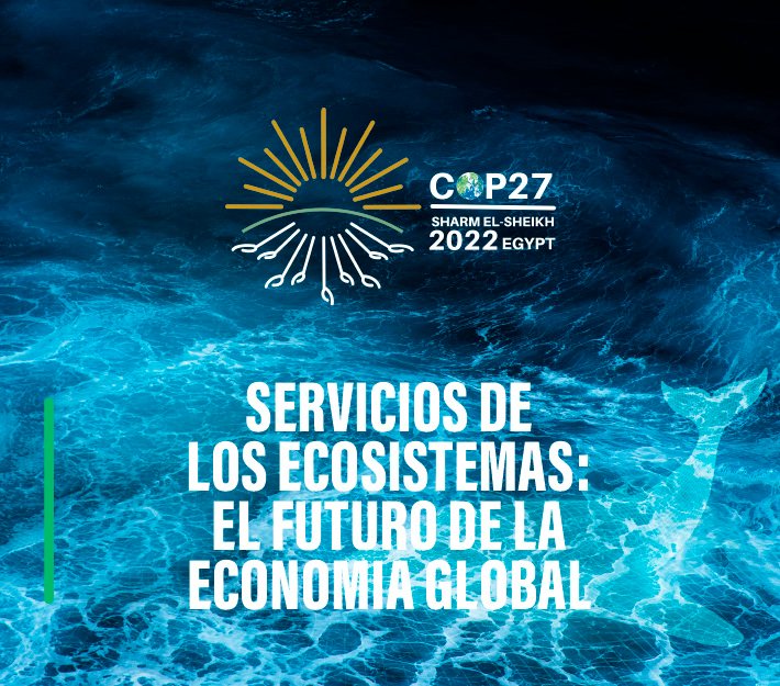 COP27 Servicios de los ecosistemas: el futuro de la economía global