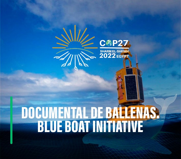COP27 Documental de Ballenas: The Blue Boat Initiative