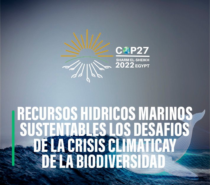 COP27 Recursos hídricos y marinos sustentables: Los desafíos de la crisis climática y de la biodiversidad