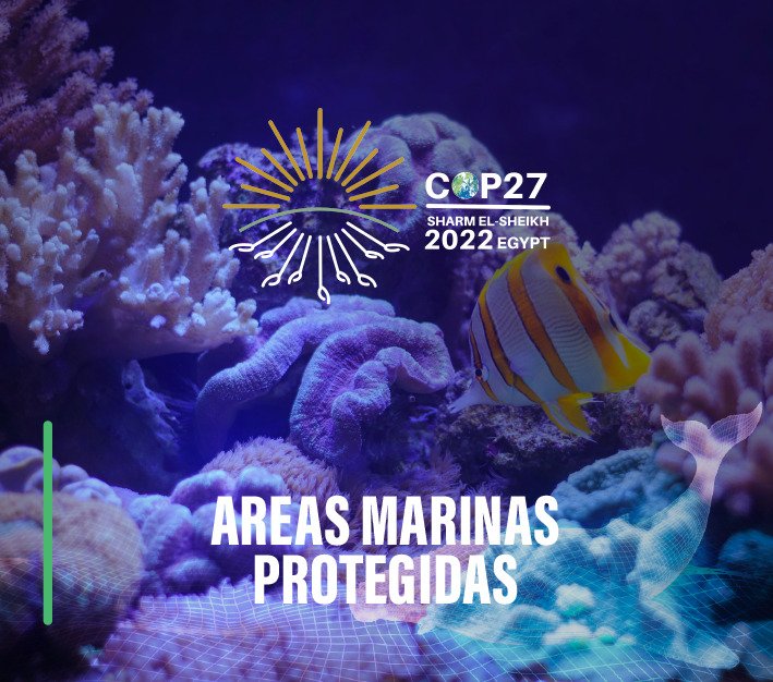COP27 Áreas Marinas Protegidas: Promoviendo la Ciencia para la Biodiversidad y Mitigación