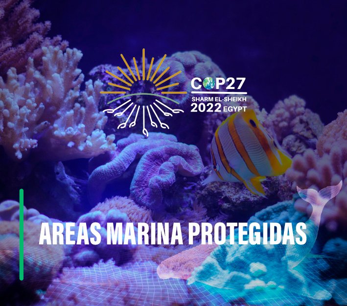 COP27 Áreas Marinas Protegidas