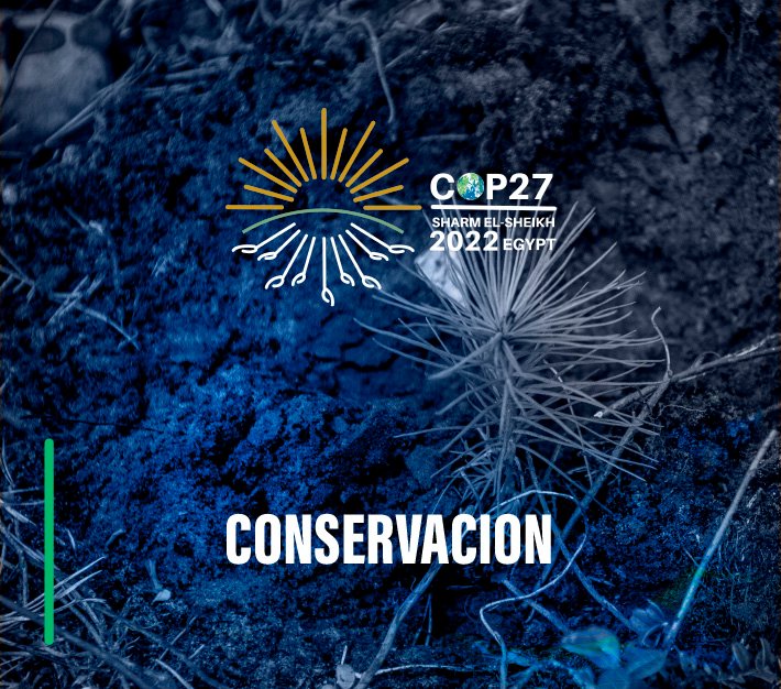 COP27 Conservación