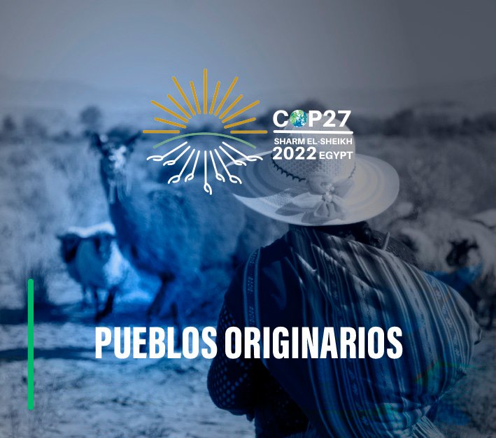 COP27 Pueblos Originarios