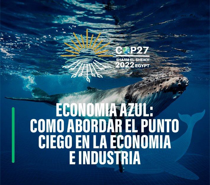 COP27 Economía Azul: Como abordar el punto ciego en la economía e industria | MERI – CSM – U NICE