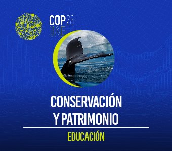 COP28 – Conservación y patrimonio