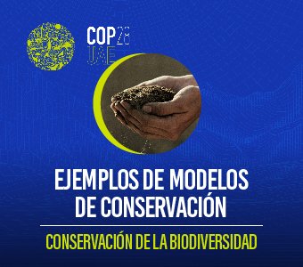 COP28 – Ejemplos de Modelos de Conservación