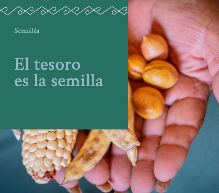 Saberes Ancestrales – El tesoro es la semilla