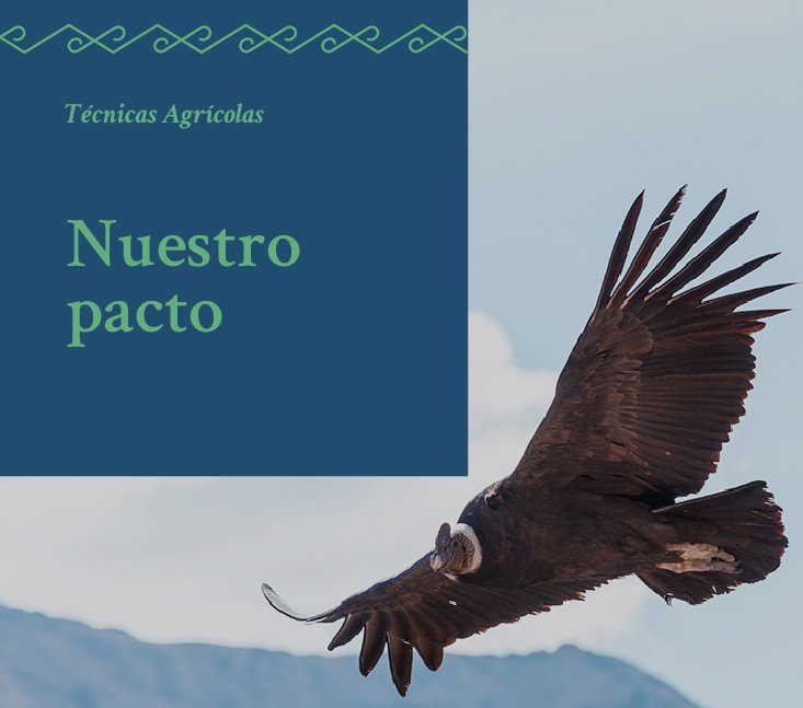 Saberes Ancestrales – Nuestro pacto