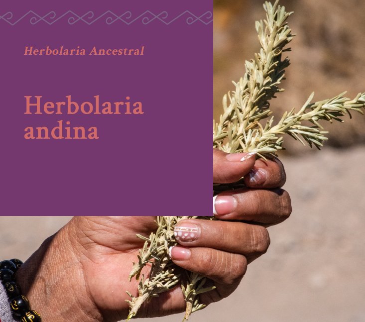 Saberes Ancestrales – herbolaria andina