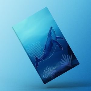 The Blue Boat Initiative – La importancia de la ballena azul chilena