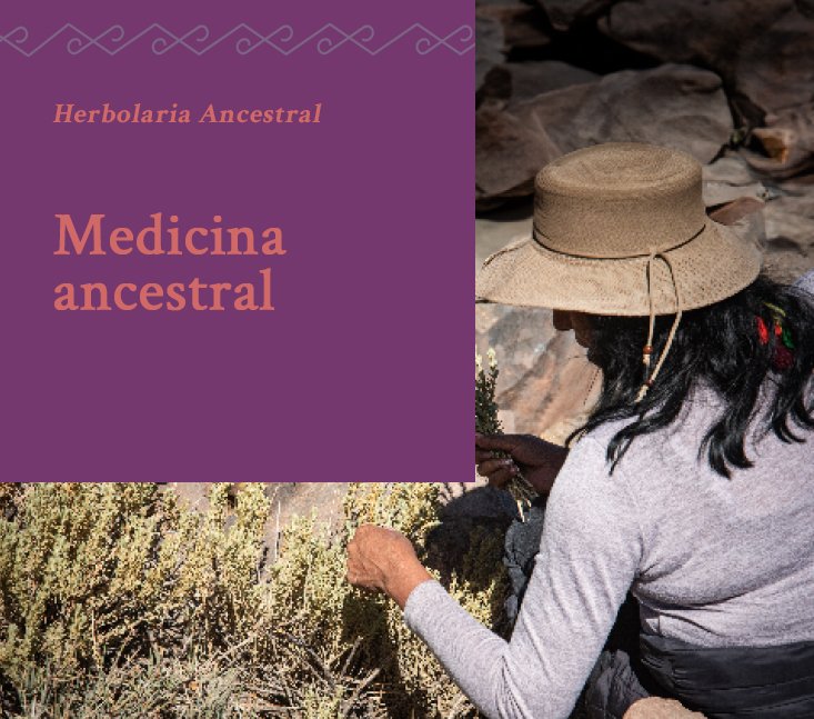 Saberes Ancestrales – Medicina Ancestral