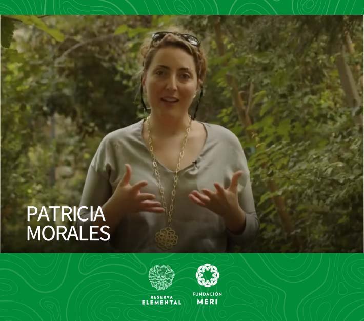 Territoriar Patricia Morales, Gerenta General Filantropía Cortés Solari