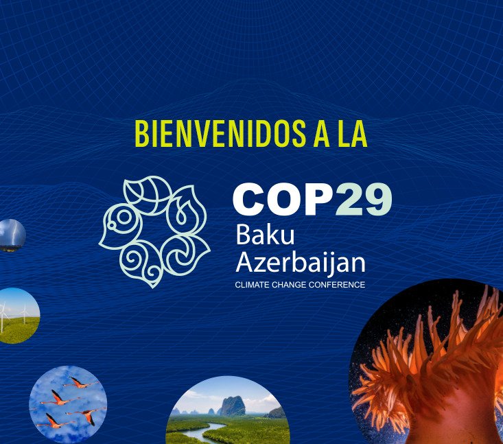 COP29