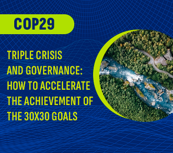 COP29 – Triple crisis y gobernanza: cómo acelerar la consecución de los objetivos 30×30