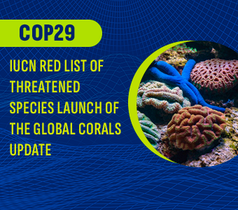 COP29 – IUCN Red List of Threatened Species: Launch of the Global Corals Update