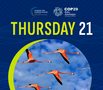 COP29 – Joint event (day 10)