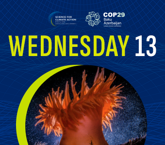 COP29 – World Leaders Climate Action Summit (day 2)