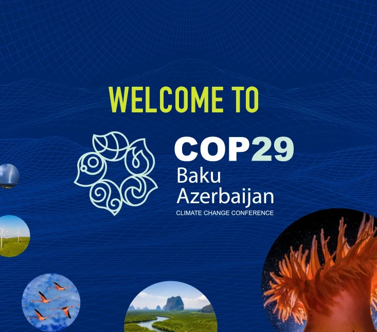 COP29