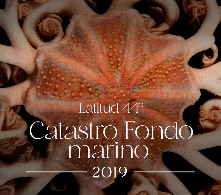 Catastro Fondo marino 2019