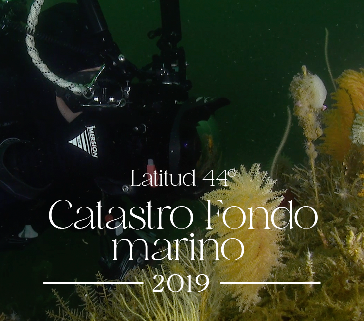 Catastro Fondo marino 2019