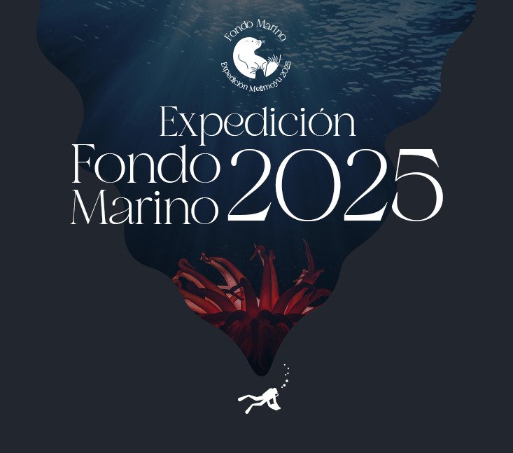 Expedición fondo marino