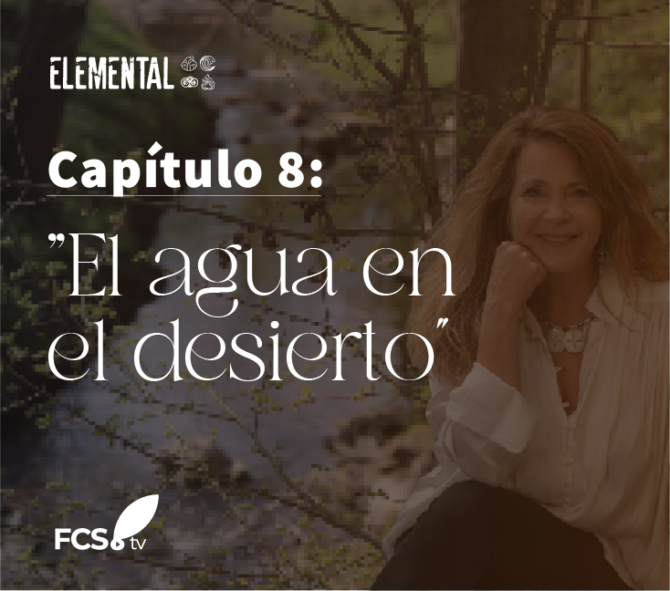 Elemental Capítulo 8: “El agua en el desierto”