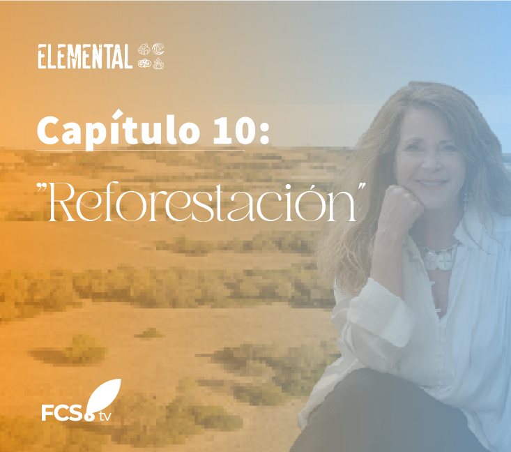 Elemental Capítulo 10: «Reforestación”