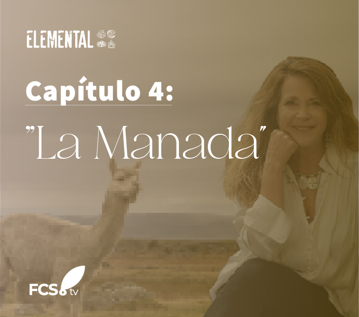 Elemental Capítulo 4: «La Manada”