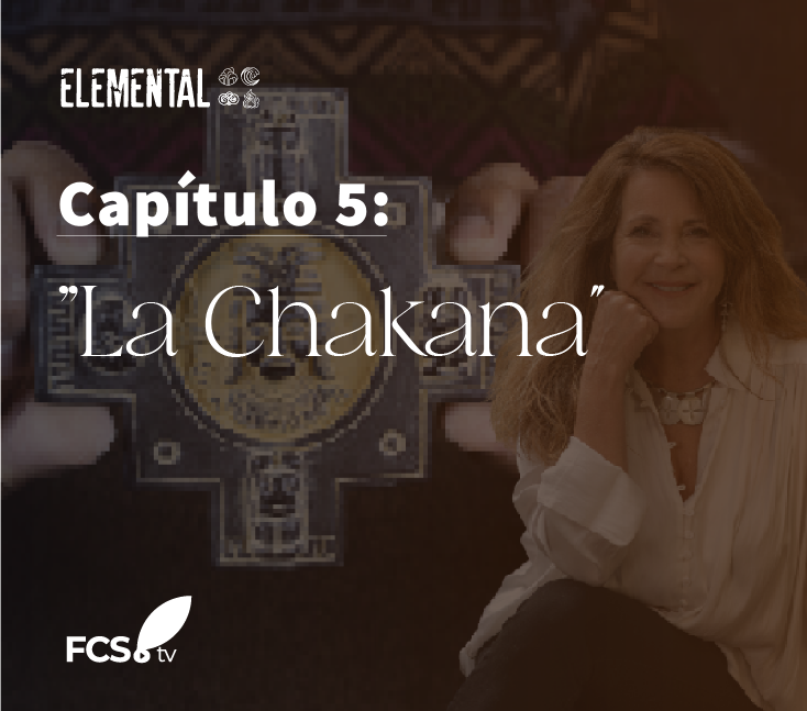 Elemental Capítulo 5: » La Chakana”