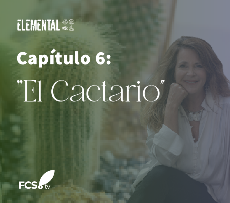 Elemental Capítulo 6: » El Cactario”