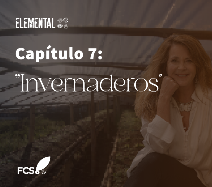 Elemental Capítulo 7: «Invernaderos”
