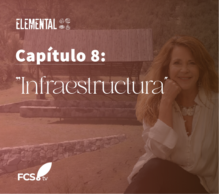 Elemental Capítulo 8: «Infraestructura”
