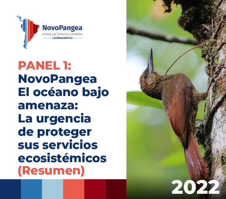 PANEL 1 NovoPangea 2022 resumen – El océano bajo amenaza: La urgencia de proteger sus servicios ecosistémicos