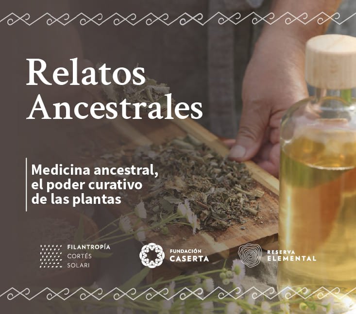 Relatos Ancestrales – Medicina ancestral, el poder curativo de las plantas