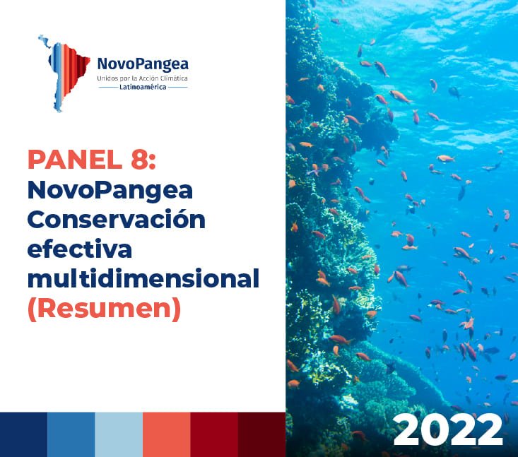 PANEL 8 NovoPangea 2022 resumen – Conservación efectiva multidimensional