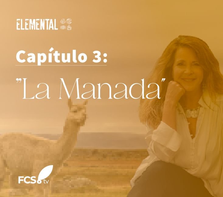 Elemental Capítulo 3: «La Manada”