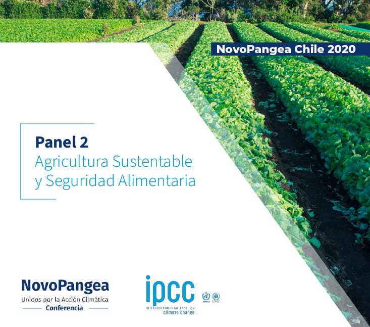 NovoPangea Chile 2020 – Panel 2 Agricultura Sustentable y Seguridad Alimentaria