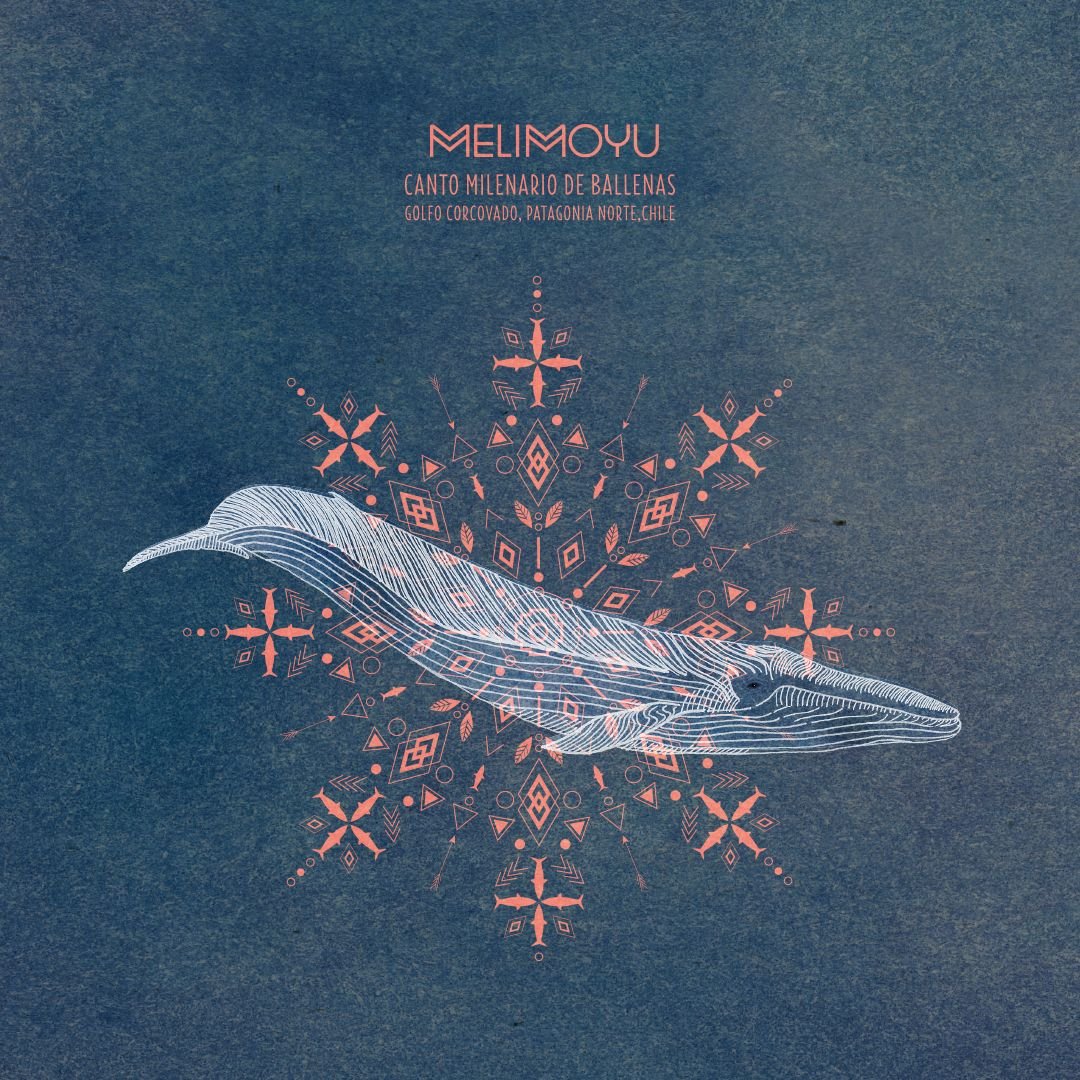Portada Melimoyu